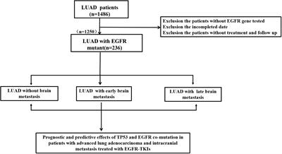 The prognosis of TP53 and EGFR co-mutation in patients with advanced lung adenocarcinoma and intracranial metastasis treated with EGFR-TKIs